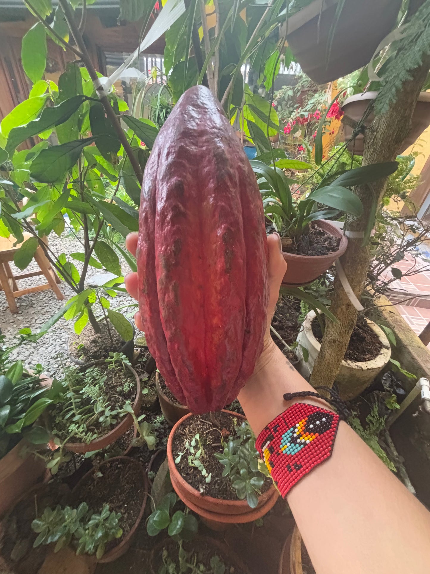 WHOLESALE - MINIMUM 10 UNITS | Bulk 14oz Ceremonial Cacao | Without Packaging
